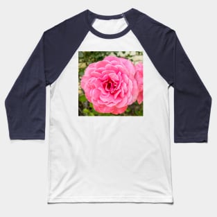 Rose Baseball T-Shirt